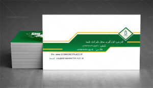 Corporate business cards-2